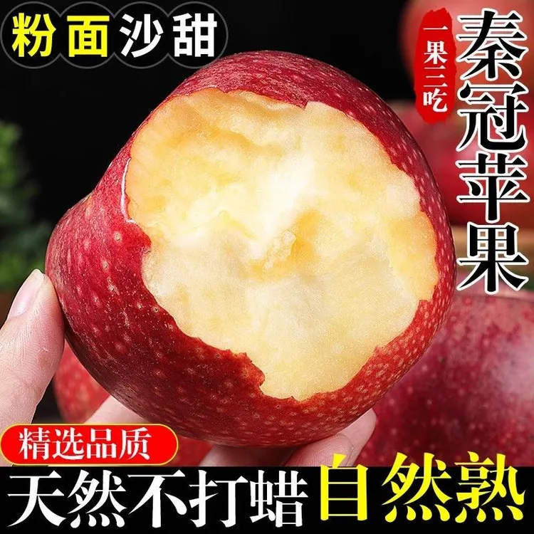 【陕西粉面苹果】正宗秦冠粉面沙甜老人宝宝刮泥吃新鲜水果产地直发
