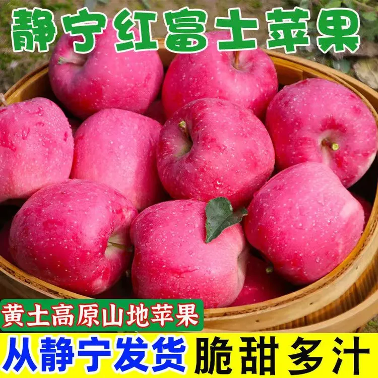正宗静宁红富士苹果水果冰糖心苹果脆甜多汁产地直发现摘新鲜苹果
