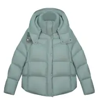 【敏纯洋】2025升级泡芙面料95白鹅绒时髦百搭羽绒服7088