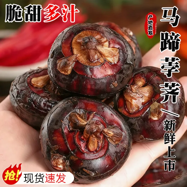 新鲜马蹄荸荠当季现挖整箱时令水果蔬菜3/5/9斤脆甜多汁荸荠大果