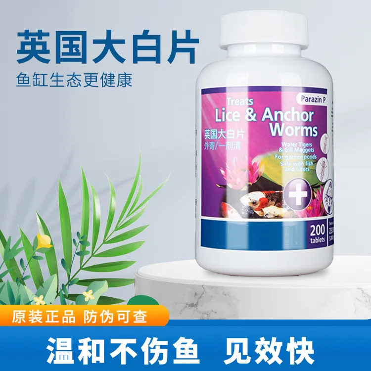 【整瓶发顺丰】英国正品大白片金龙鱼魟热带锦鲤内寄外寄调理