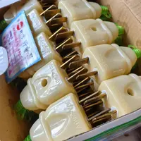 新款二脚插头10A（10个发）