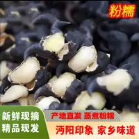 湖北仙桃新鲜老菱角现摘粉糯老菱角湖北农家土特菱角绿色菱角