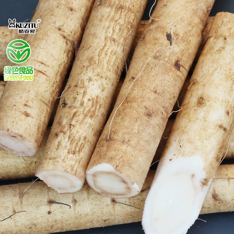 新鲜现挖黄皮牛蒡安疗榨汁5斤徐州现挖养生药材蔬菜特产原料