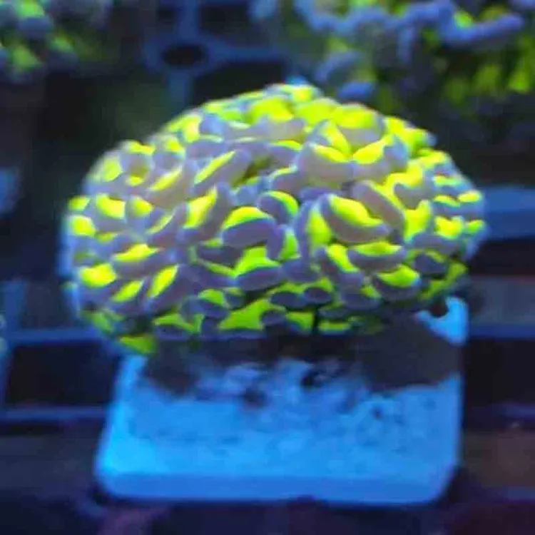 精品陶瓷制品基座