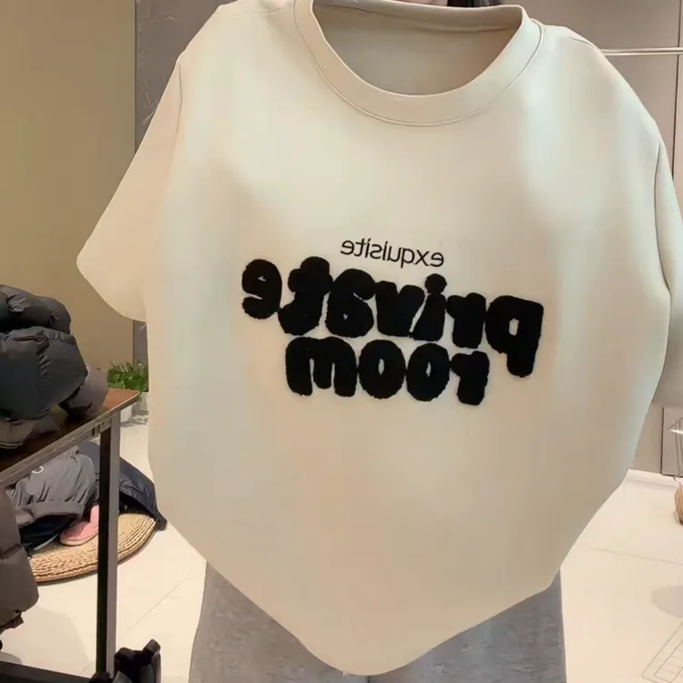 今年流行穿搭2025秋冬新款温柔风字母印花纯色T恤休闲短袖上衣