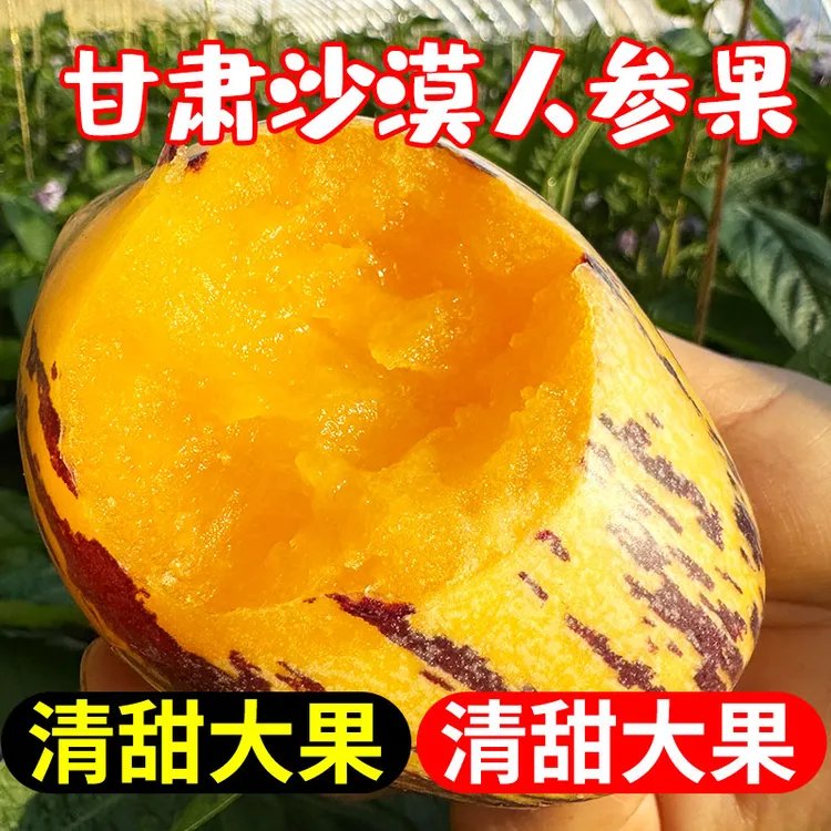 甘肃民勤沙漠人参果产地直发黄肉大果树上熟新鲜清甜多汁当季水果商品图