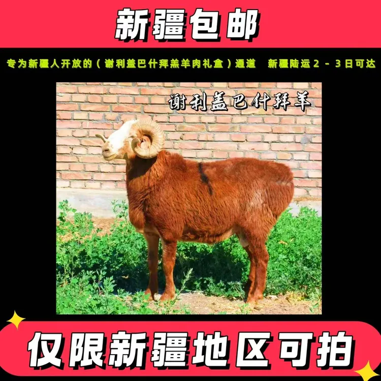 【仅限新疆地区可拍】谢利盖巴什拜羔羊肉礼盒 切片装草原羊