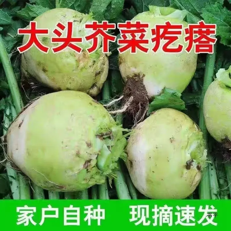 天真小白天然零添加人参侧柏叶乌斯曼草洗发皂硫磺氨基酸手工皂