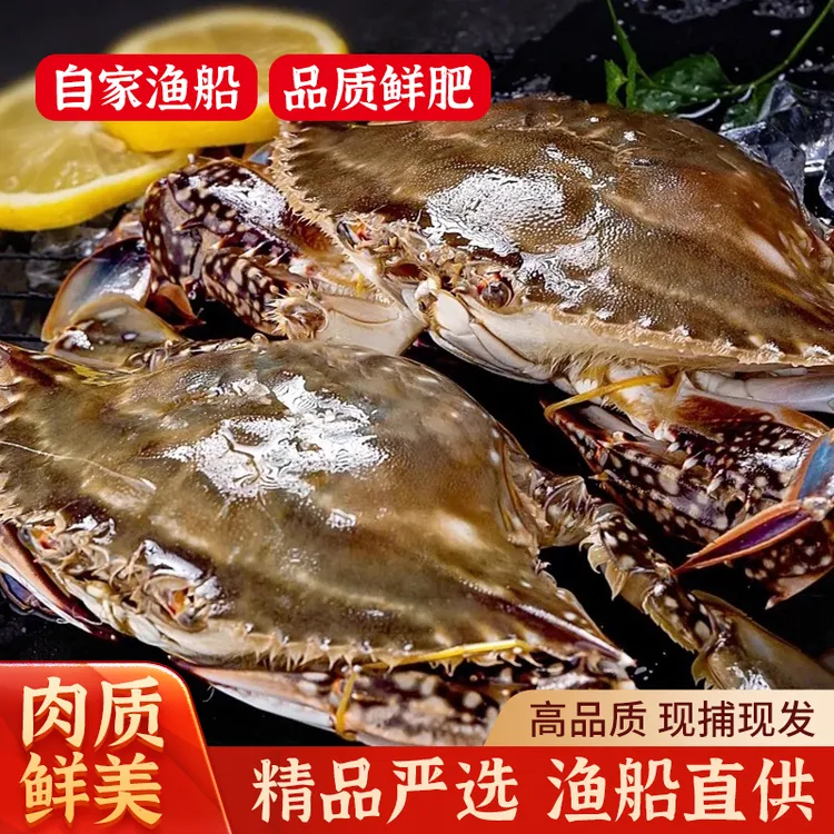 【保鲜不保活】山东威海野生海捕鲜活梭子蟹母蟹4两一只二斤5只