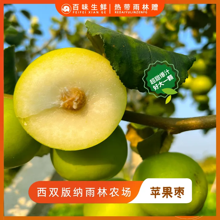 西双版纳糖斑苹果枣水分充足甜度高香气浓冬枣酥脆产地仓直供-2