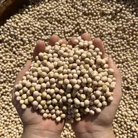 农家自种新鲜豌豆可煮汤美味食材3斤