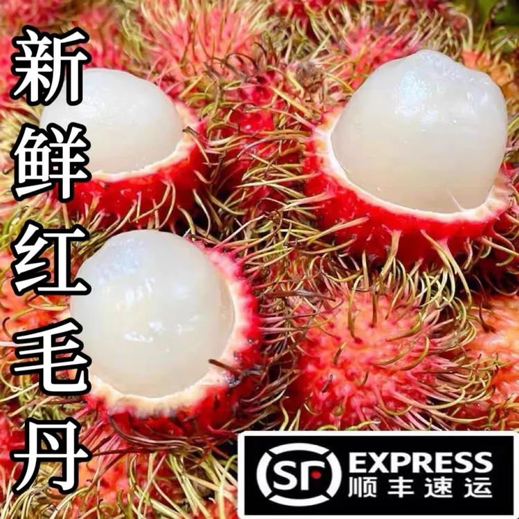【顺丰包邮】海南红毛丹现摘新鲜毛荔枝孕妇水果鲜甜可口果园直发