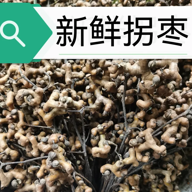 【乡村人专属】2025打霜皱皮鲜拐枣果泡酒野拐枣鸡爪梨金钩万寿果