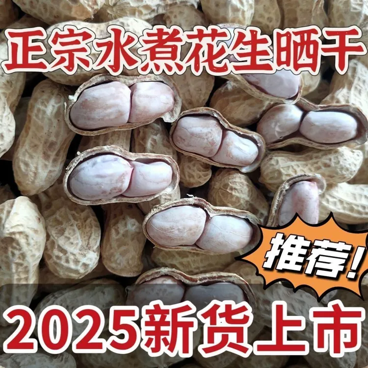 2025农家柴火灶水煮花生本地花生带壳农家日晒好吃零食点心