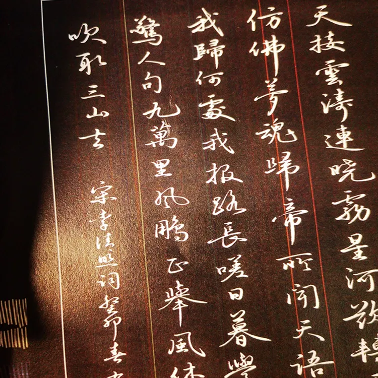 修心养性应用硬笔书法字帖大学生行书行楷宋词练字帖临摹手写体