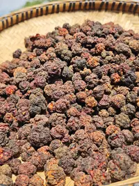 小花 山货云南帝王果