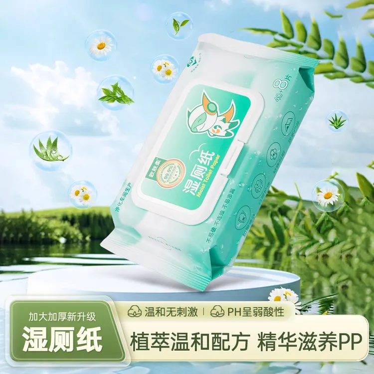 欧肤柔免洗湿厕纸巾48抽家用亲肤护理一次性加厚湿厕纸湿纸巾加大