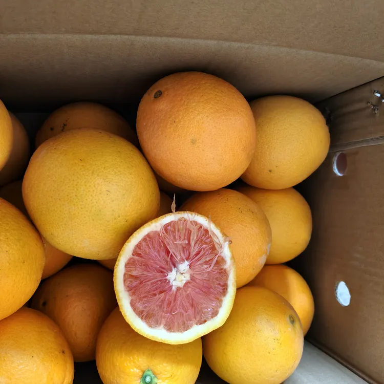 赣南血橙应季水果中华红心肉甜橙产地直发香甜正宗江西赣州橙子