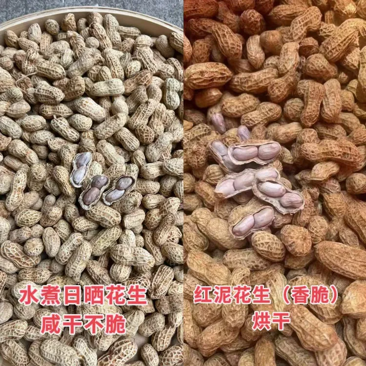 水煮红泥花生香脆可口有嚼劲