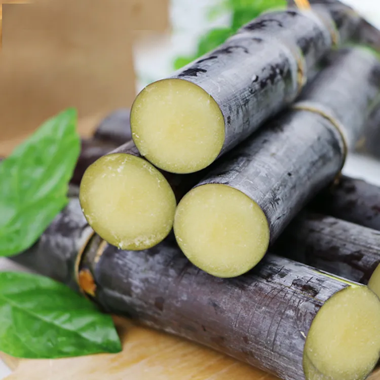 品旭广西黑皮甘蔗新鲜现砍脆甜多汁水果甘蔗5斤9斤中段发货