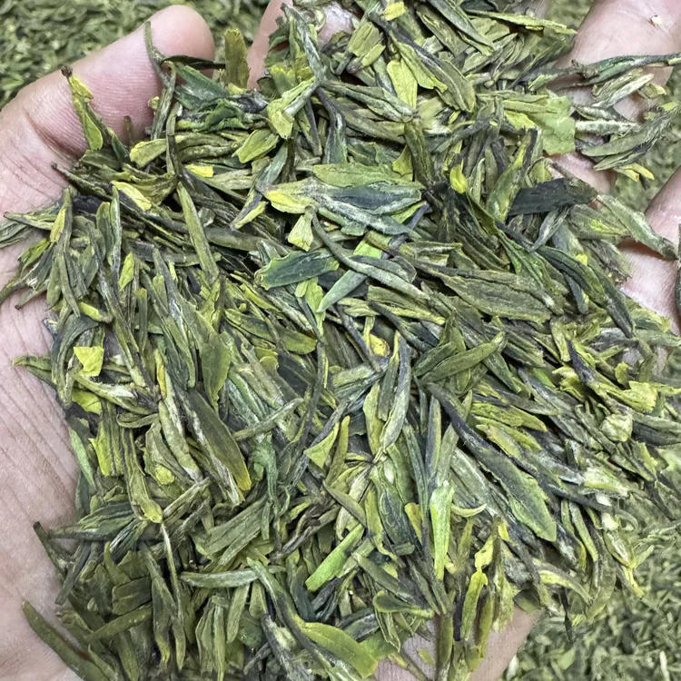 日照绿茶新春茶【山茶开园头采日照扁茶】豌豆鲜香味浓郁花香味十足