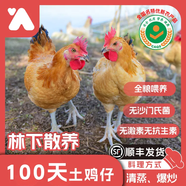 佳辰专属优惠宝妈优选孩子爱吃鲜嫩土鸡100天土鸡仔童子鸡2只