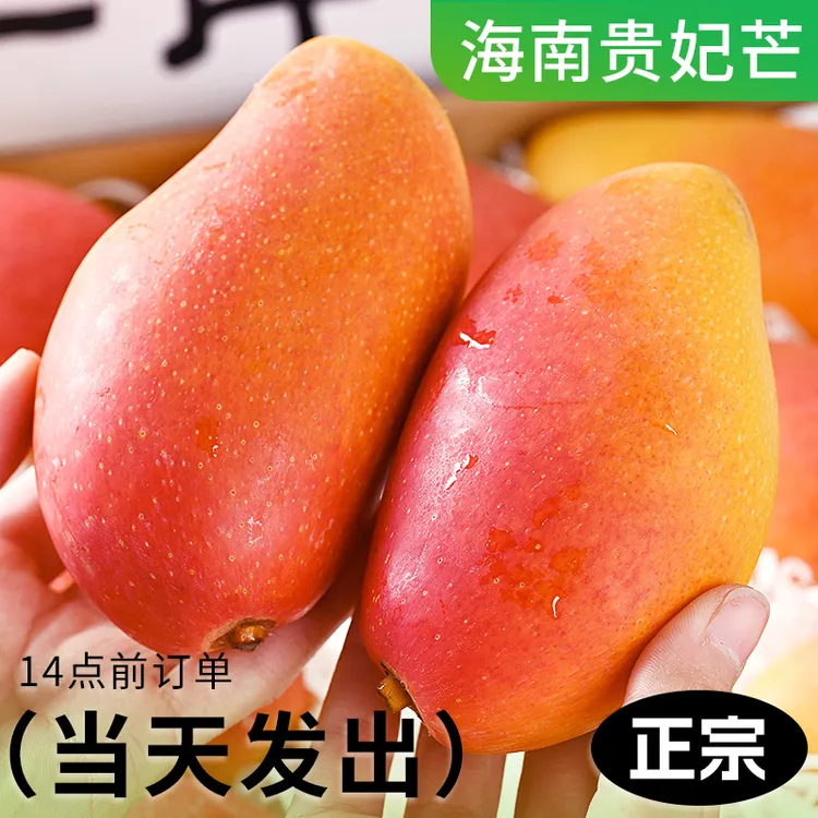 海南贵妃芒斤9新鲜水果树上熟当季热带现摘红金龙甜心芒整箱包邮