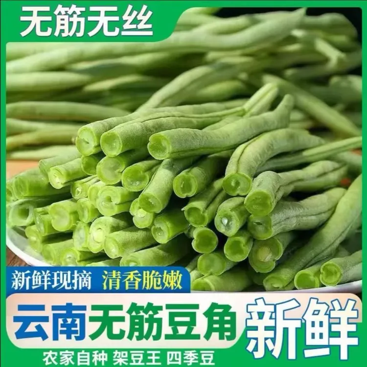 无筋豆泡沫箱】架豆王农家自种现摘现发四季豆青扁豇豆新鲜