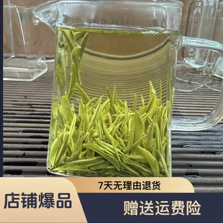【日照茶王】日照绿茶高档茶嫩芽～清香型~中秋福利价
