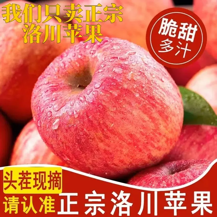 【洛川苹果】我们只卖正宗洛川苹果 脆甜多汁 现摘现发新鲜发货