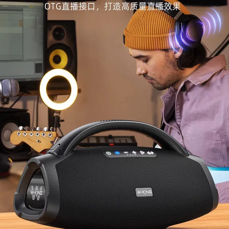 维尔晶D20S手提便携K歌低音炮IPX7级防水户外露营垂钓蓝牙音响