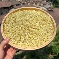 高山 农家 茉莉花