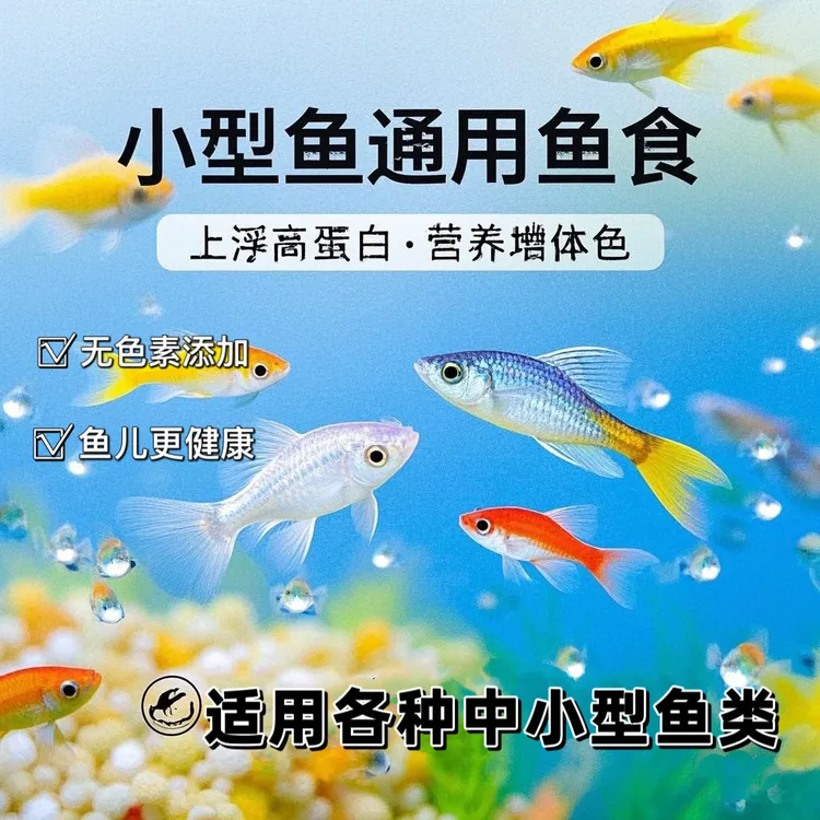通用鱼粮高蛋白小颗粒鱼饲料孔雀鱼斑马鱼鳑鲏鱼小草金均价鱼粮