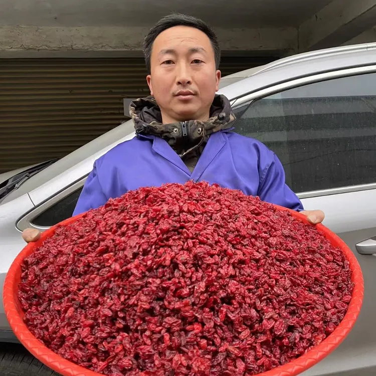 山茱萸西峡山茱萸原产地无核枣皮山萸肉可泡水煲汤
