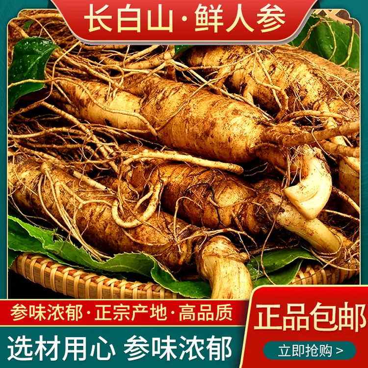 【两支】长白山鲜人参新鲜现挖带土产地直发营养丰富大人参