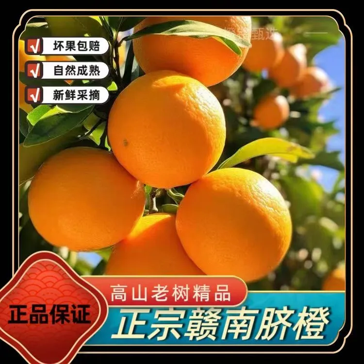 【京东速运】正宗赣南脐橙老树精品皮薄多汁新鲜采摘带箱10斤礼盒装