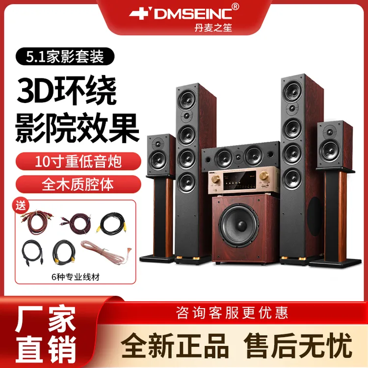 DMSEINC  家庭影院音响5.1套装JY-550家用电视k歌落地式环绕音箱