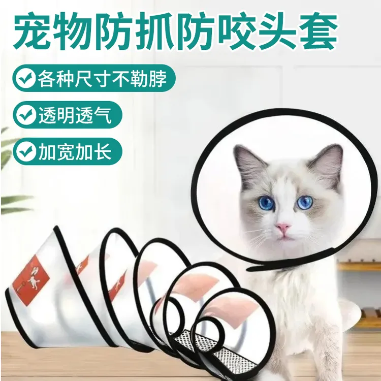 伊丽莎白圈狗狗猫咪项圈头套绝育利莉沙白猫咪用品防舔防水耻辱圈