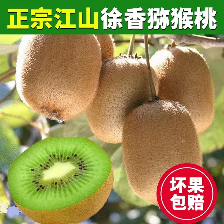 浙江江山正宗徐香猕猴桃奇异果现摘现发