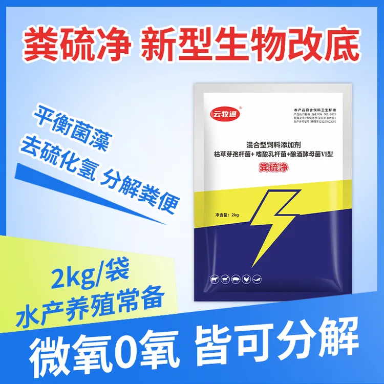 粪硫菌新型生物改底净水产养殖塘口分解有机质硫化氢
