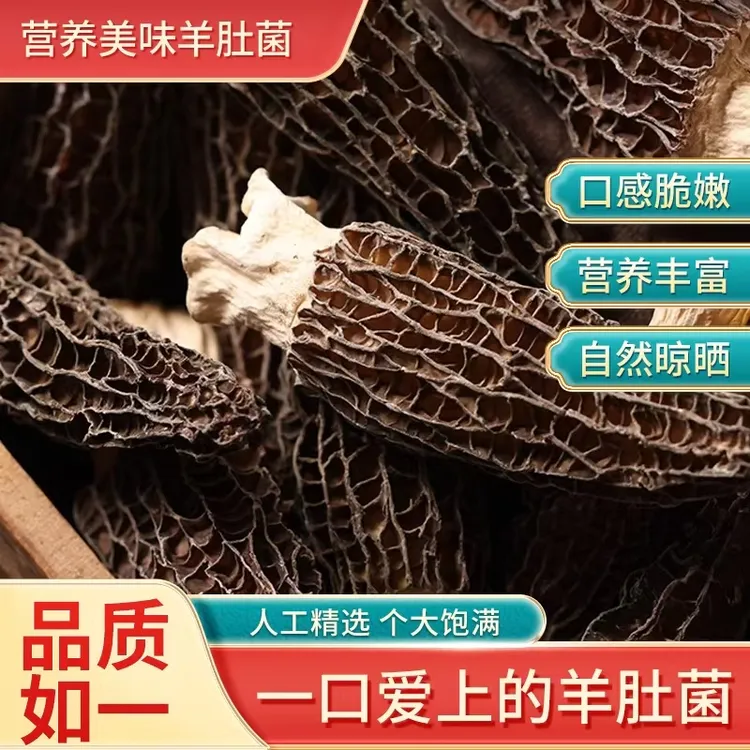 云南产区羊肚菌干货新鲜菌菇煲汤食材火锅食材农家菌菇香菇菌子