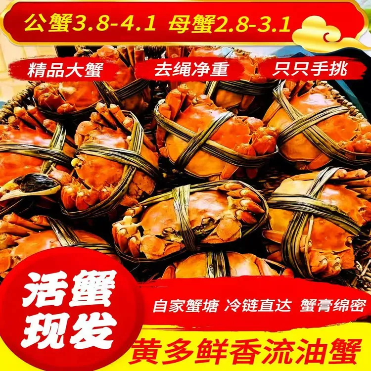 【活蟹】大闸蟹公蟹3.8-4.1两母2.8-3.1两五对10只装礼盒包邮到家