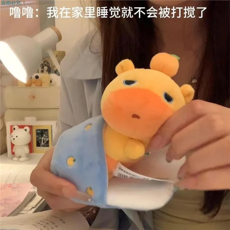 睡觉水豚创意可爱水豚毛绒玩偶送闺蜜礼物包包挂件拉绳公仔钥匙扣