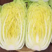 现砍现发新鲜露天霜打蔬菜当季时令火锅蔬菜