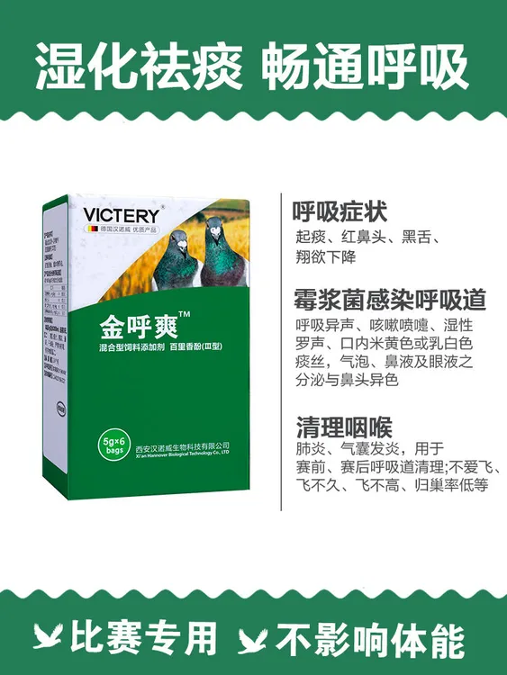 汉诺威鸽金呼爽粉咳嗽呼吸道感冒痰咳嗽打喷嚏呼吸异响鸽新疆包邮