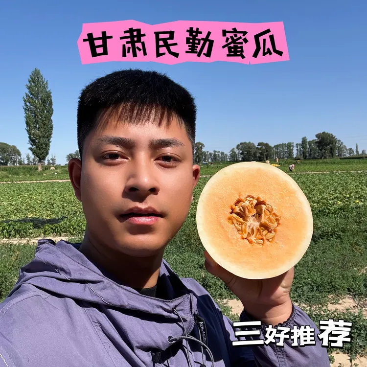 【三好推荐-京东快递】甘肃民勤沙漠蜜瓜现摘头茬瓜4.5/9斤产地直发