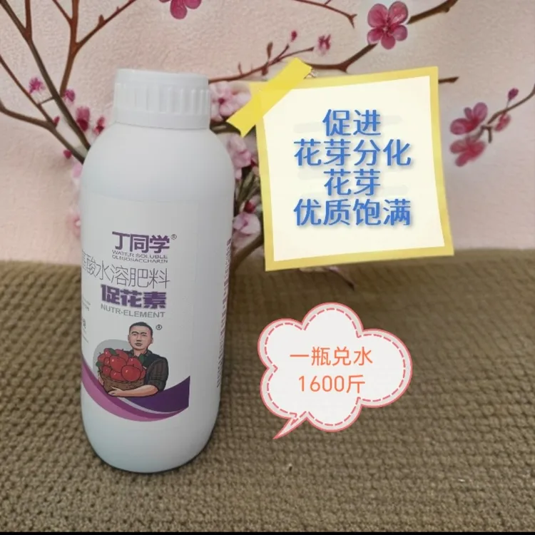 丁老师精品促花素液体叶面肥