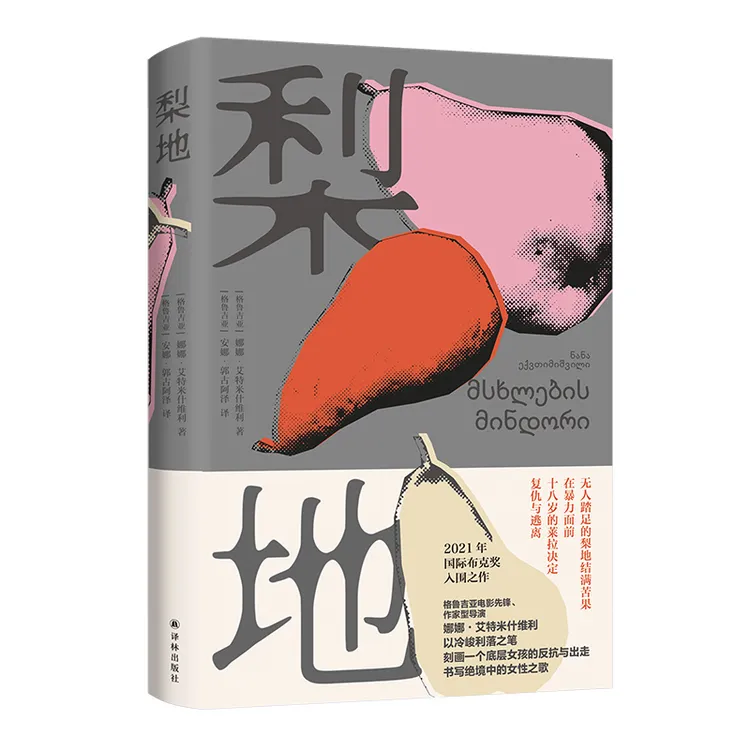 梨地 国际布克奖提名现实题材代表作为边缘底层发声为女性发言