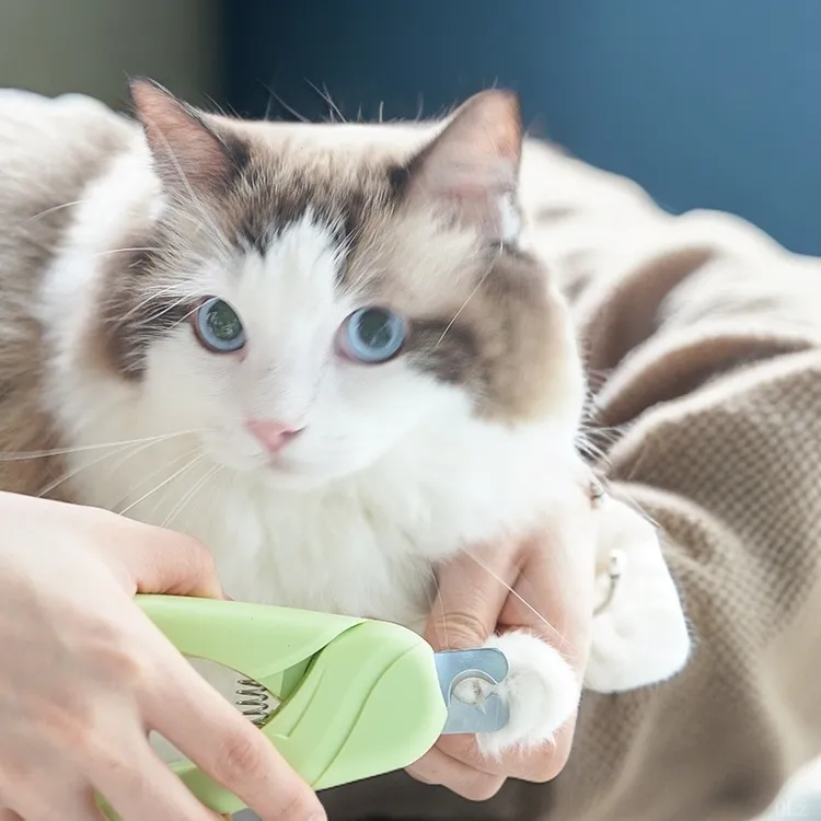 跨境宠物指甲剪狗狗猫咪指甲刀美容清洁宠物用品美甲指甲钳套装